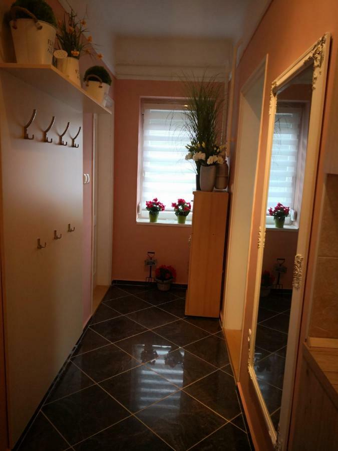 Kupola Apartman سيغيد المظهر الخارجي الصورة