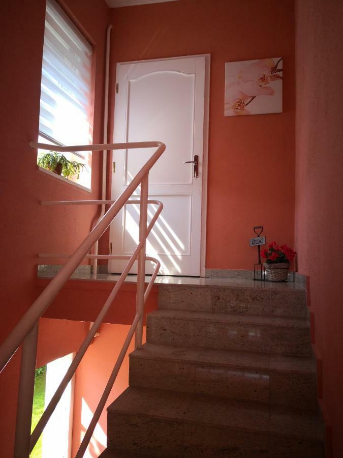 Kupola Apartman سيغيد المظهر الخارجي الصورة